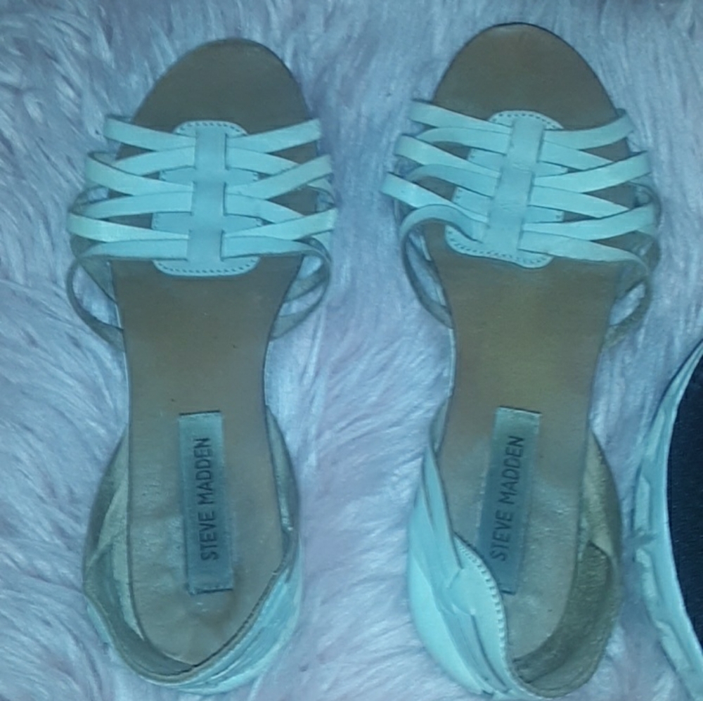 Steve madden scandala
